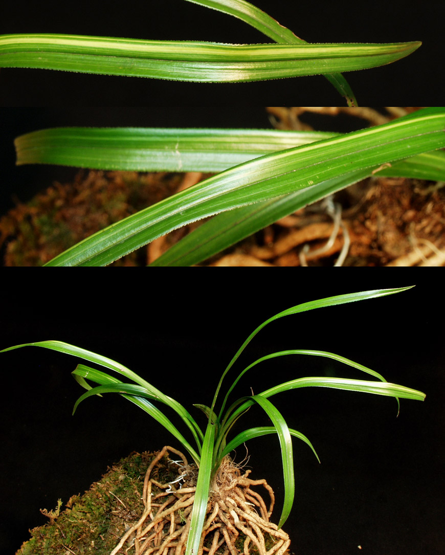 ������ ū������ �� �� �ֽ��ϴ�.