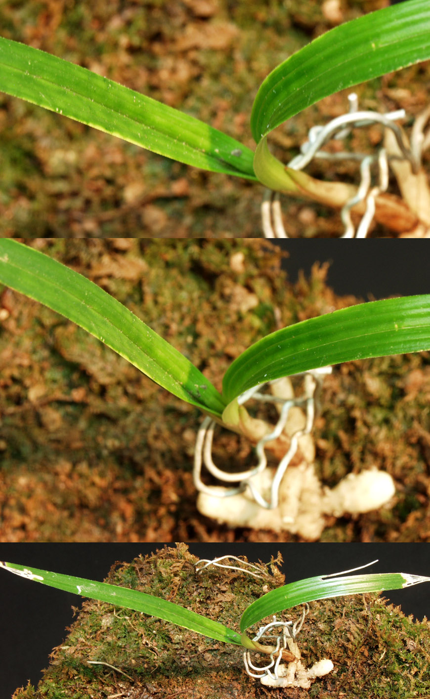 ������ ū������ �� �� �ֽ��ϴ�.