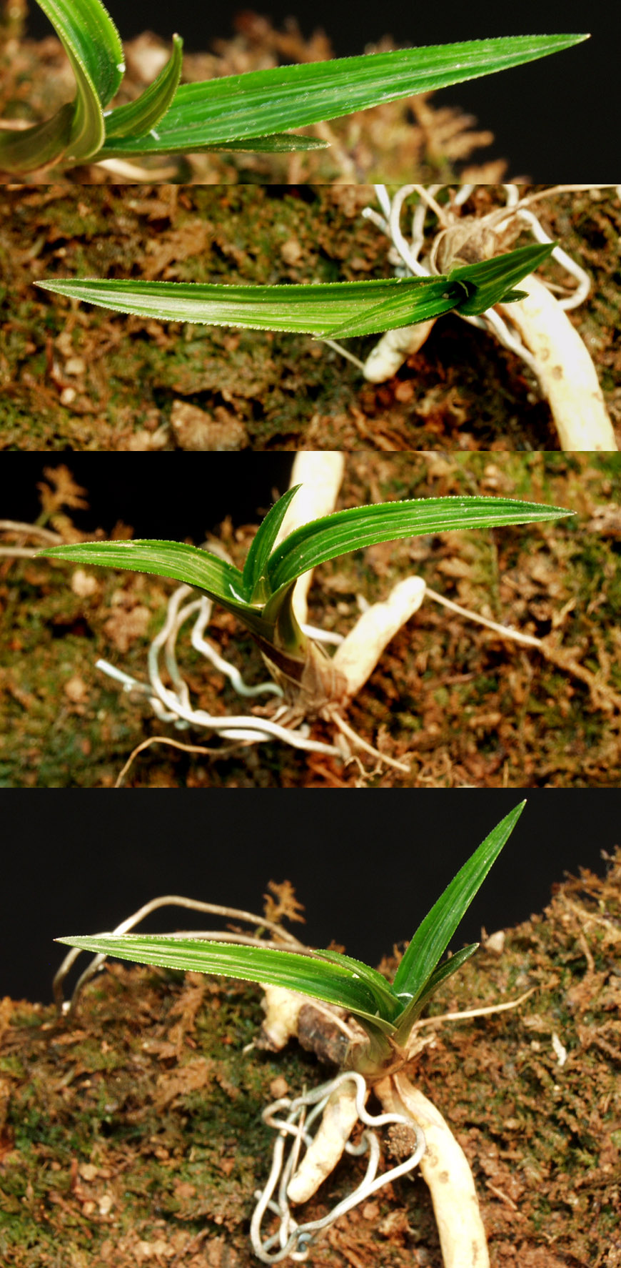 ������ ū������ �� �� �ֽ��ϴ�.