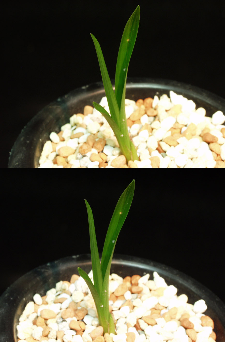 ������ ū������ �� �� �ֽ��ϴ�.