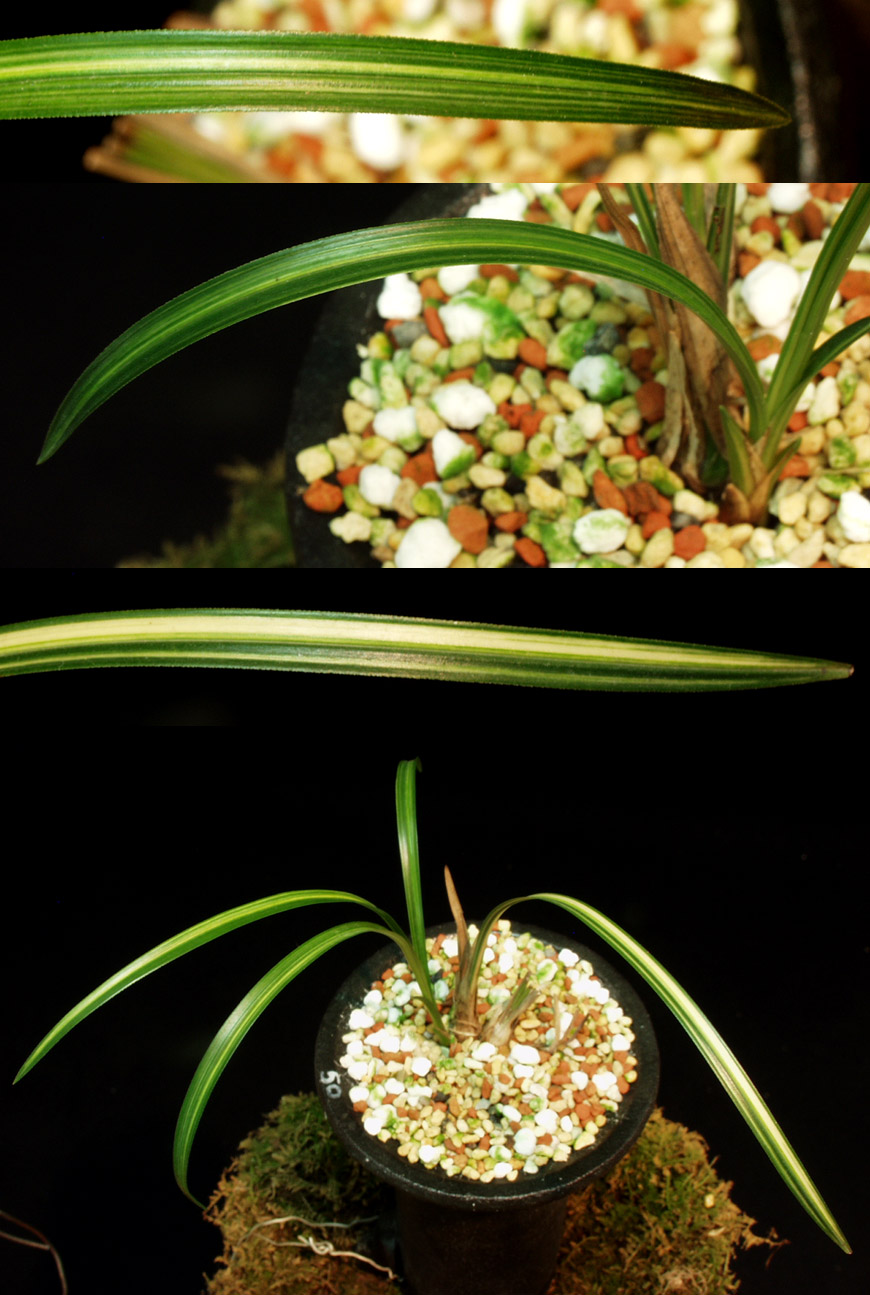 ������ ū������ �� �� �ֽ��ϴ�.