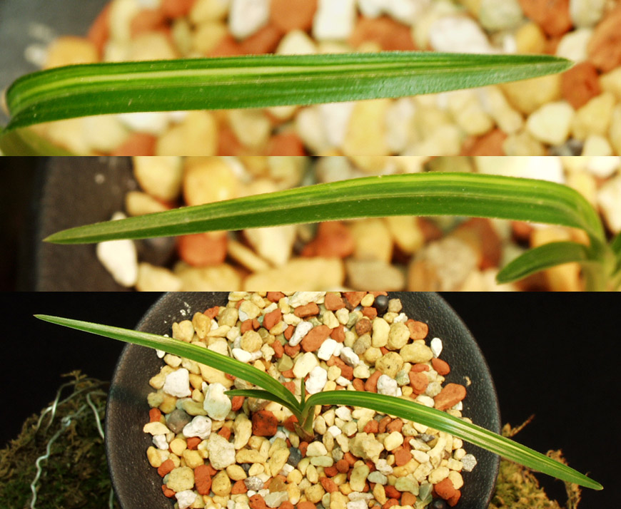 ������ ū������ �� �� �ֽ��ϴ�.