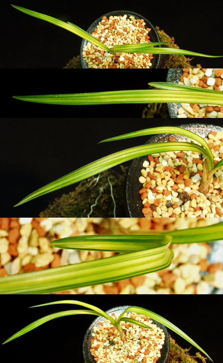 ������ ū������ �� �� �ֽ��ϴ�.