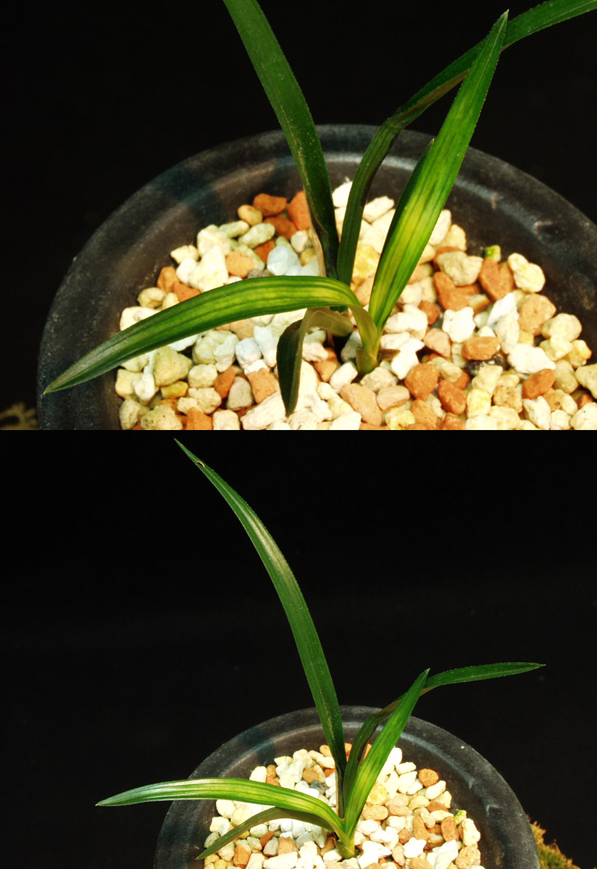 ������ ū������ �� �� �ֽ��ϴ�.