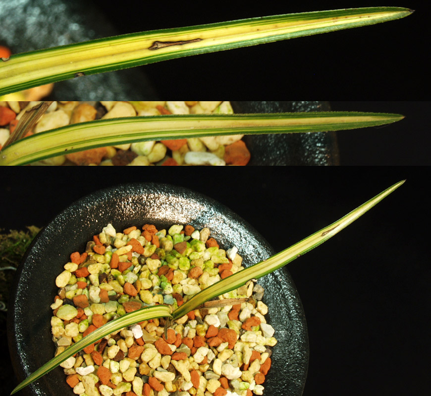 ������ ū������ �� �� �ֽ��ϴ�.