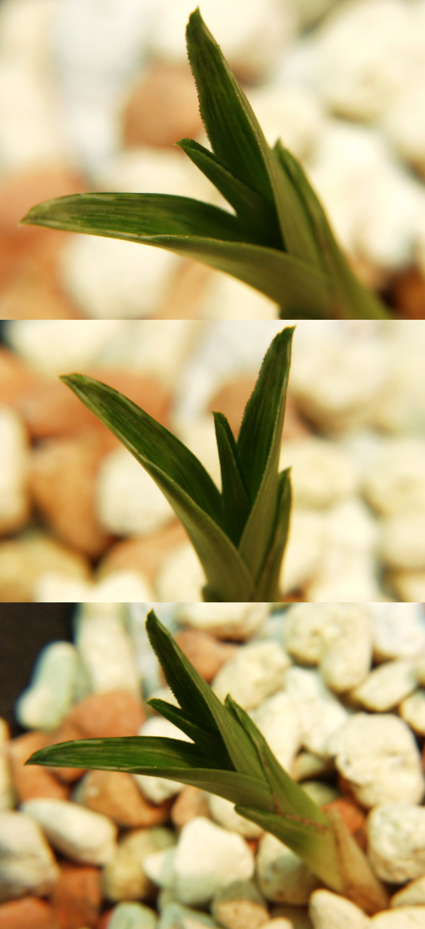 ������ ū������ �� �� �ֽ��ϴ�.