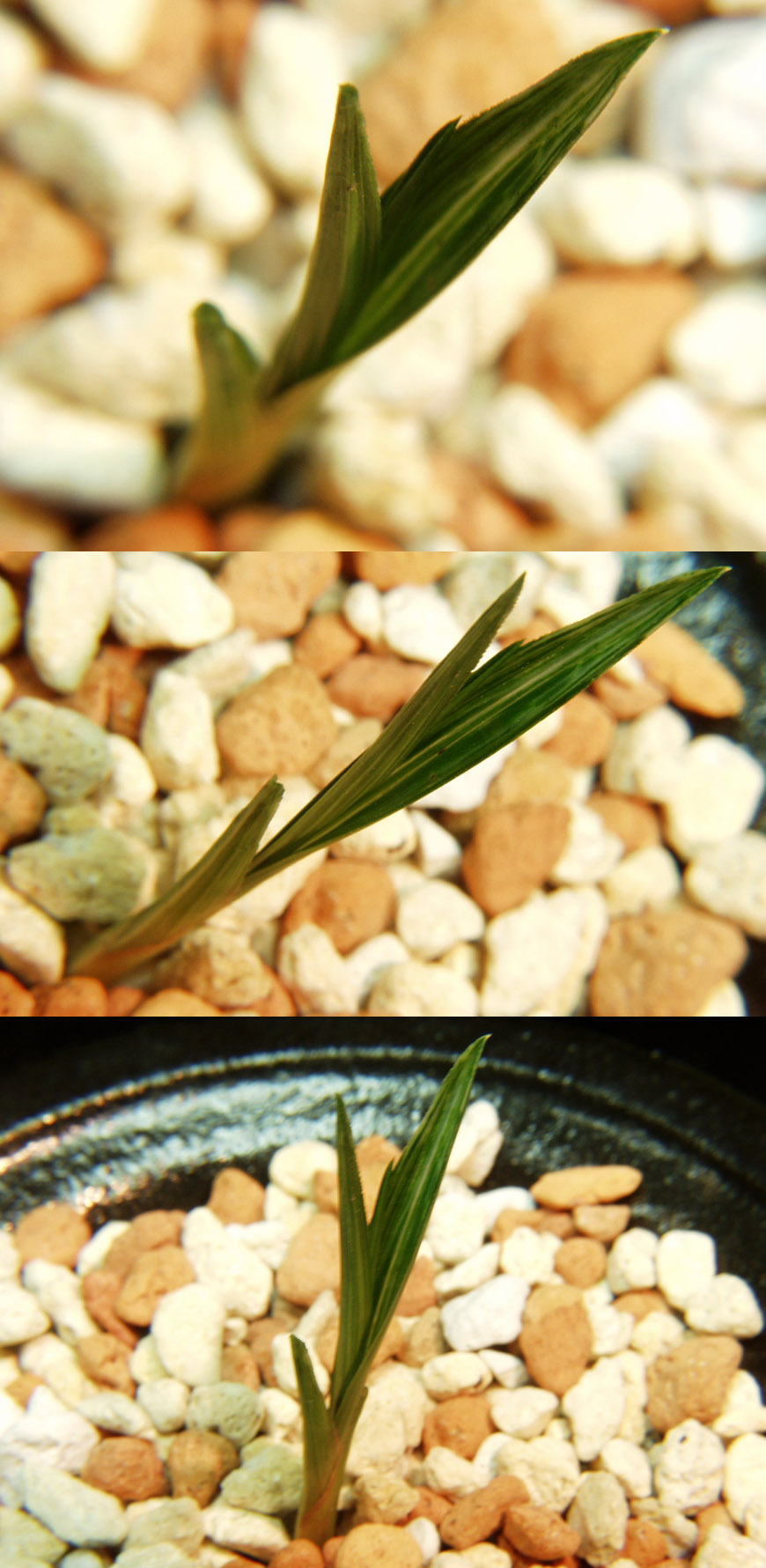 ������ ū������ �� �� �ֽ��ϴ�.