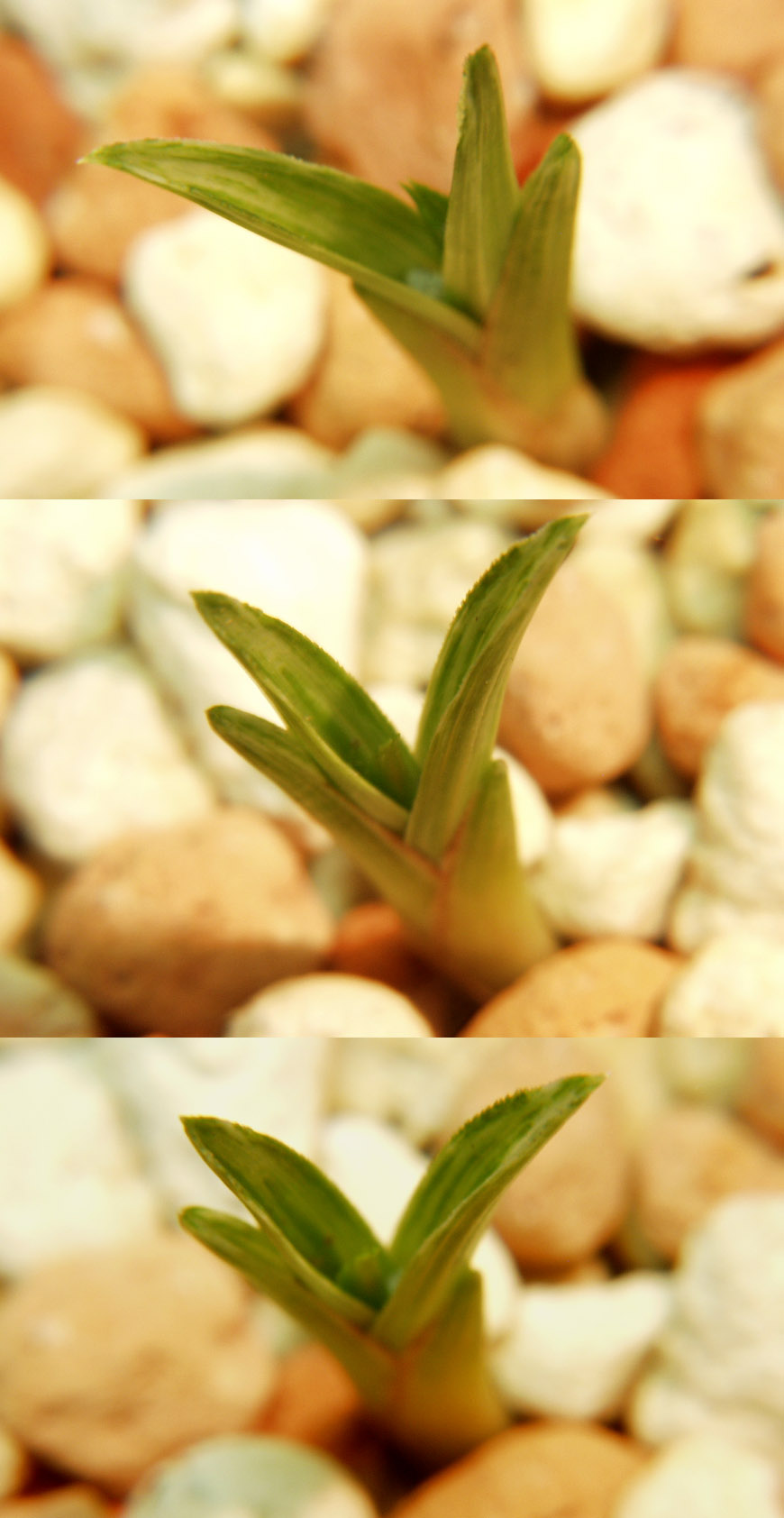 ������ ū������ �� �� �ֽ��ϴ�.