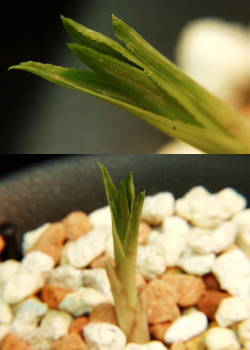 ������ ū������ �� �� �ֽ��ϴ�.