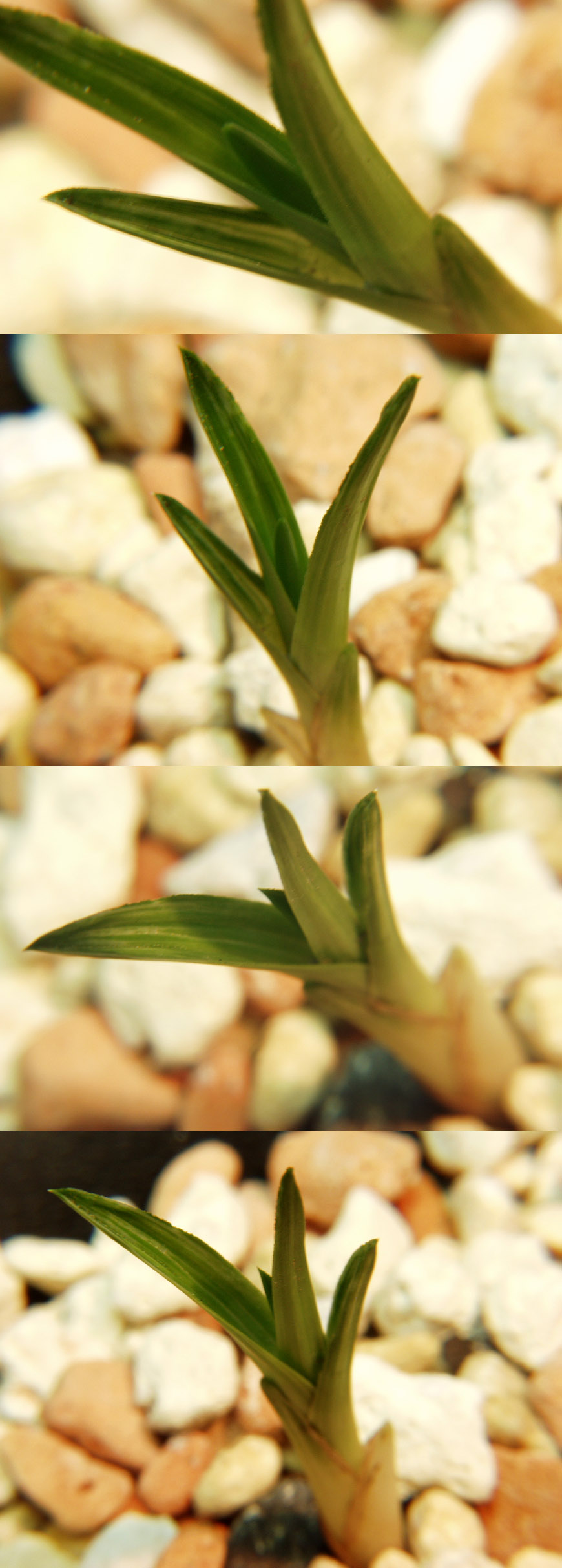 ������ ū������ �� �� �ֽ��ϴ�.