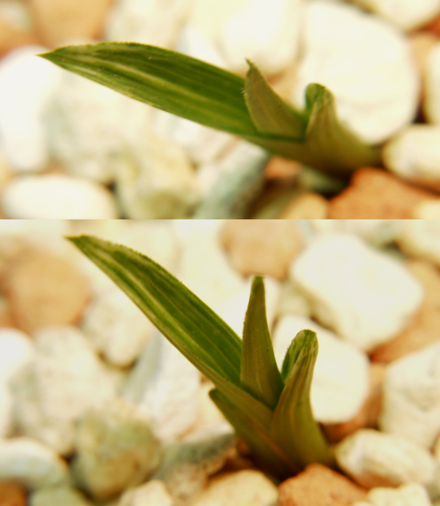 ������ ū������ �� �� �ֽ��ϴ�.