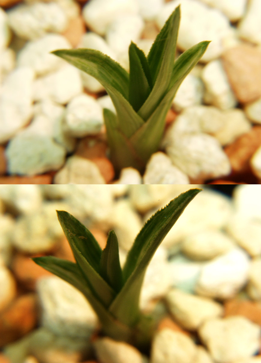 ������ ū������ �� �� �ֽ��ϴ�.