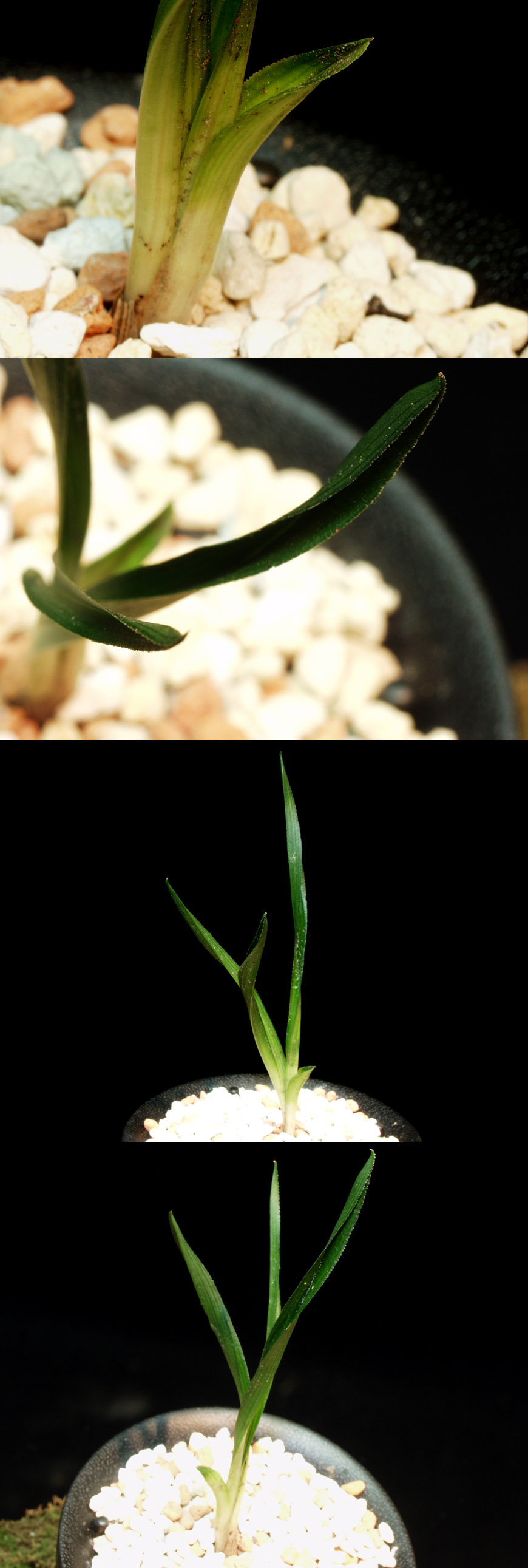 ������ ū������ �� �� �ֽ��ϴ�.