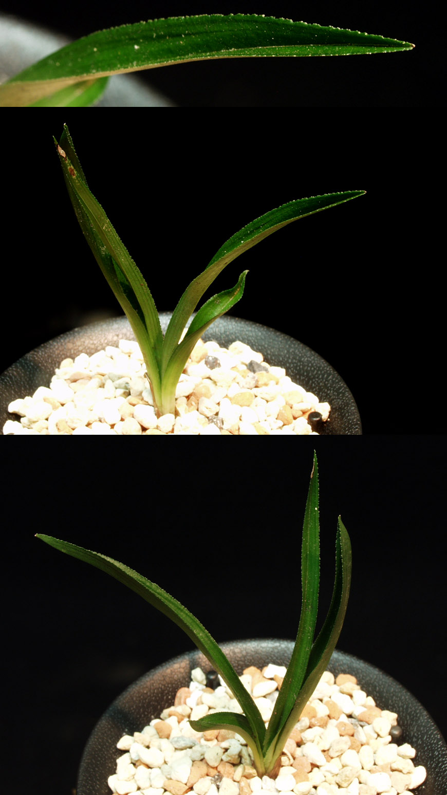 ������ ū������ �� �� �ֽ��ϴ�.