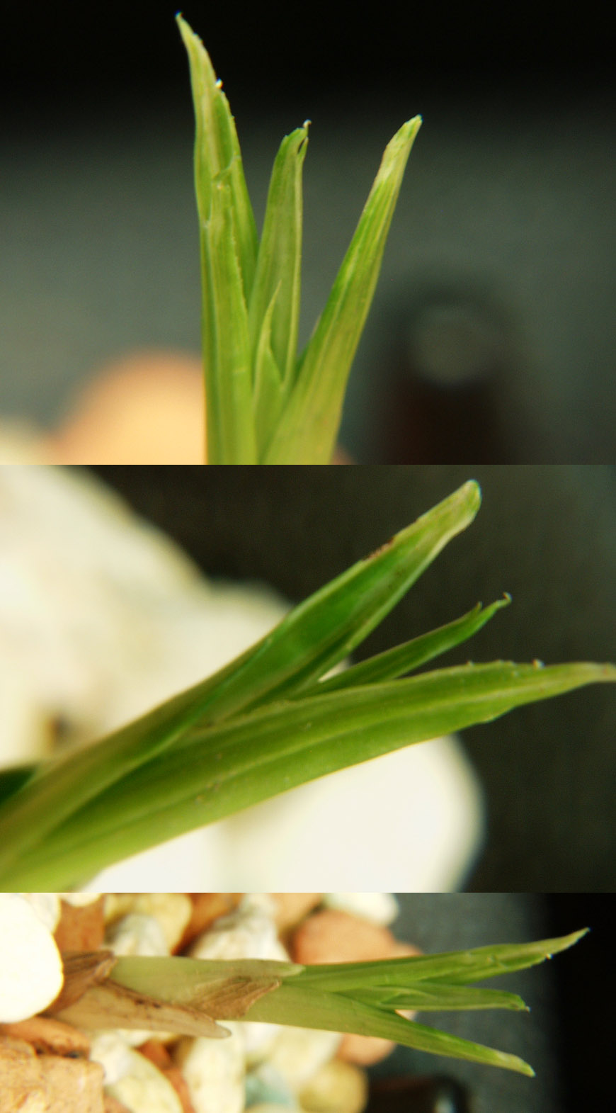 ������ ū������ �� �� �ֽ��ϴ�.