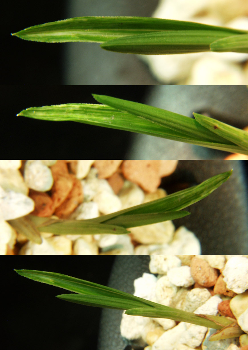 ������ ū������ �� �� �ֽ��ϴ�.