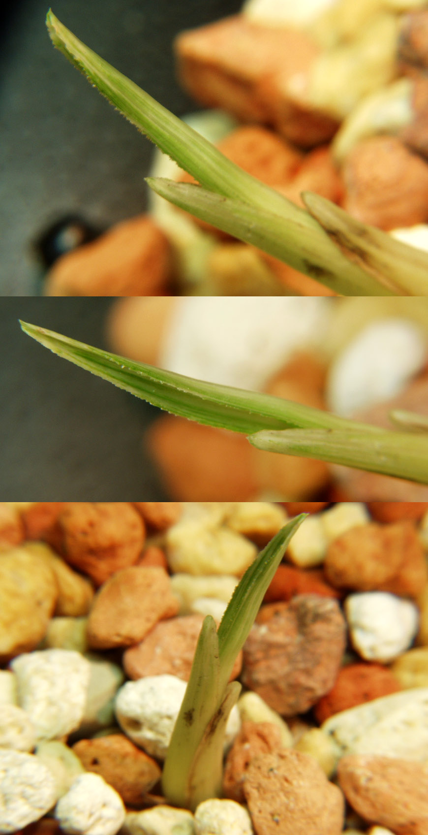 ������ ū������ �� �� �ֽ��ϴ�.