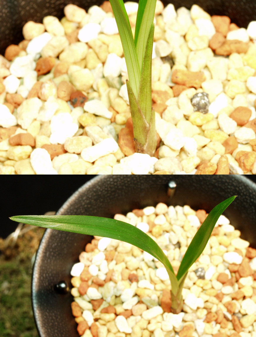 ������ ū������ �� �� �ֽ��ϴ�.