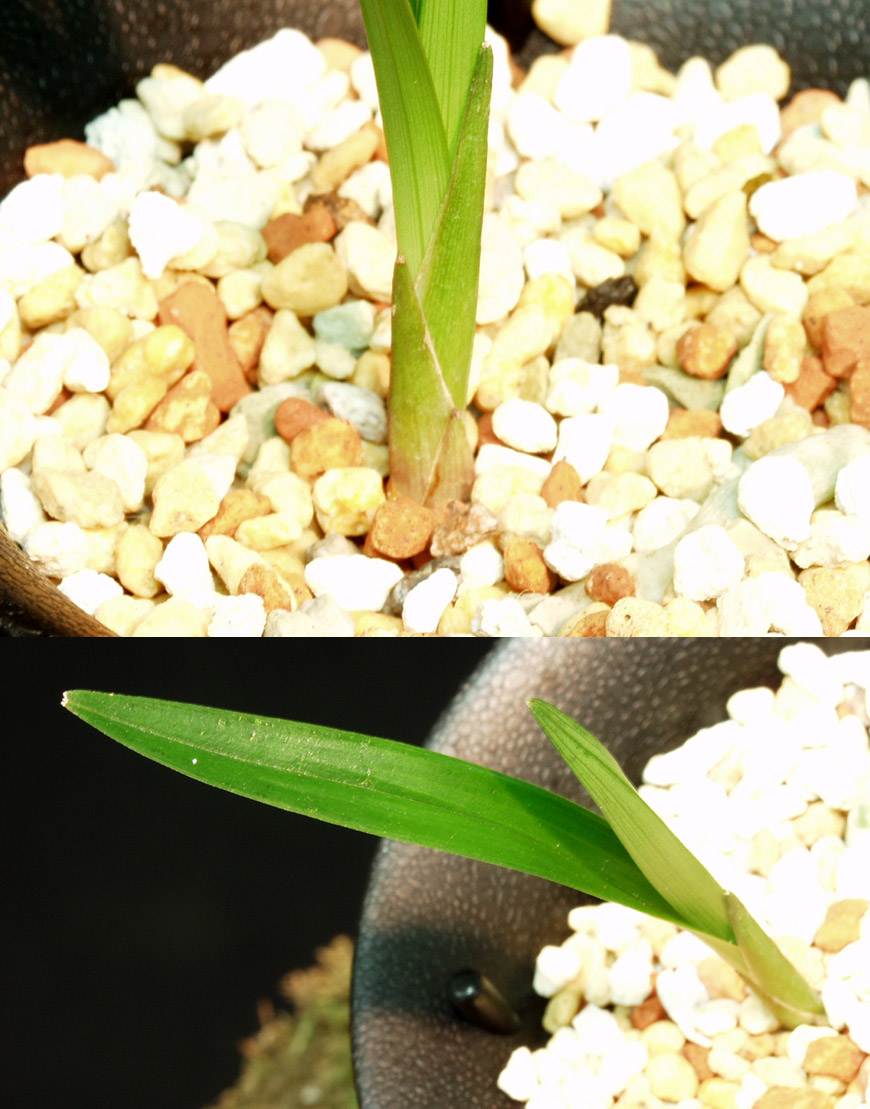 ������ ū������ �� �� �ֽ��ϴ�.