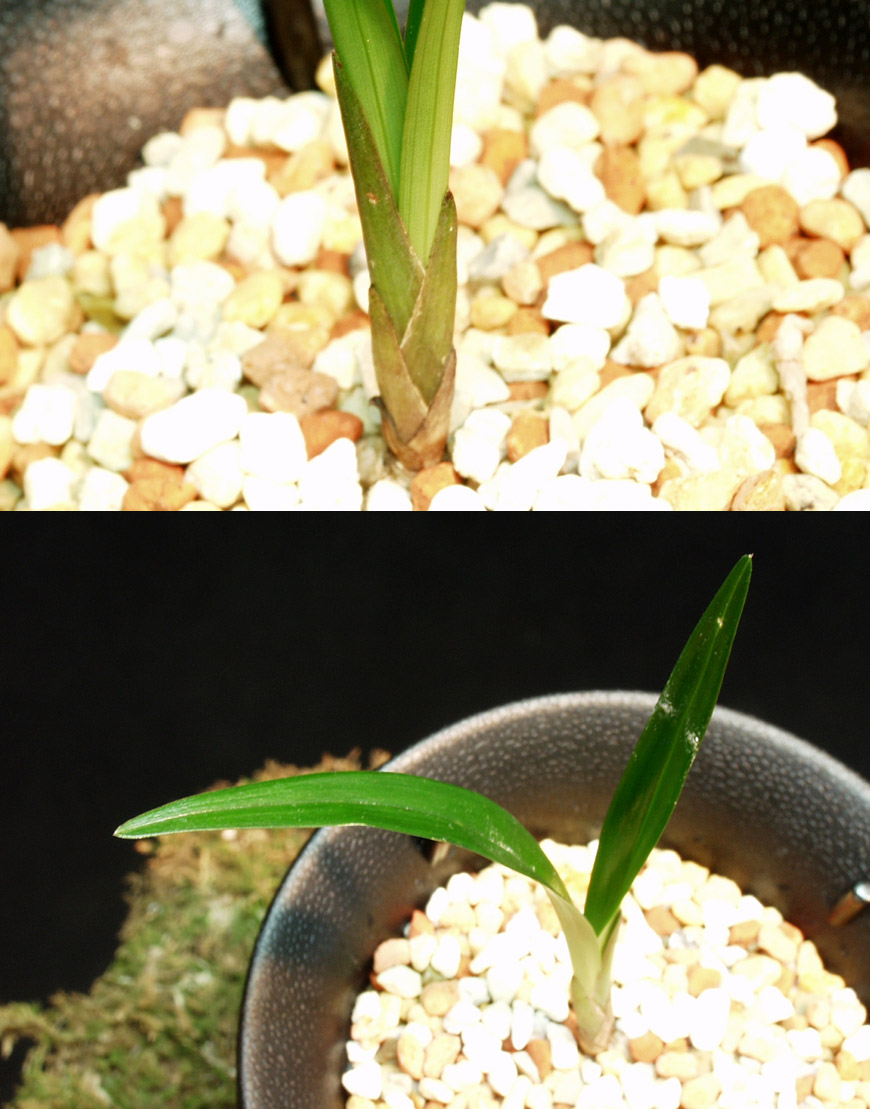 ������ ū������ �� �� �ֽ��ϴ�.