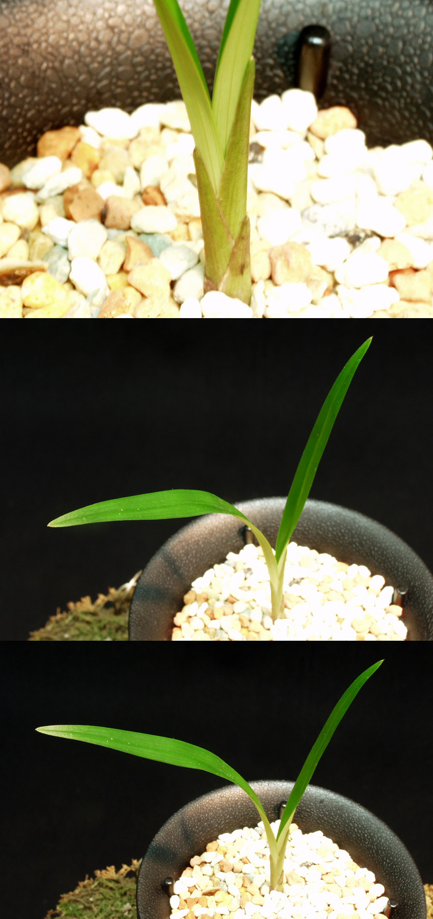 ������ ū������ �� �� �ֽ��ϴ�.