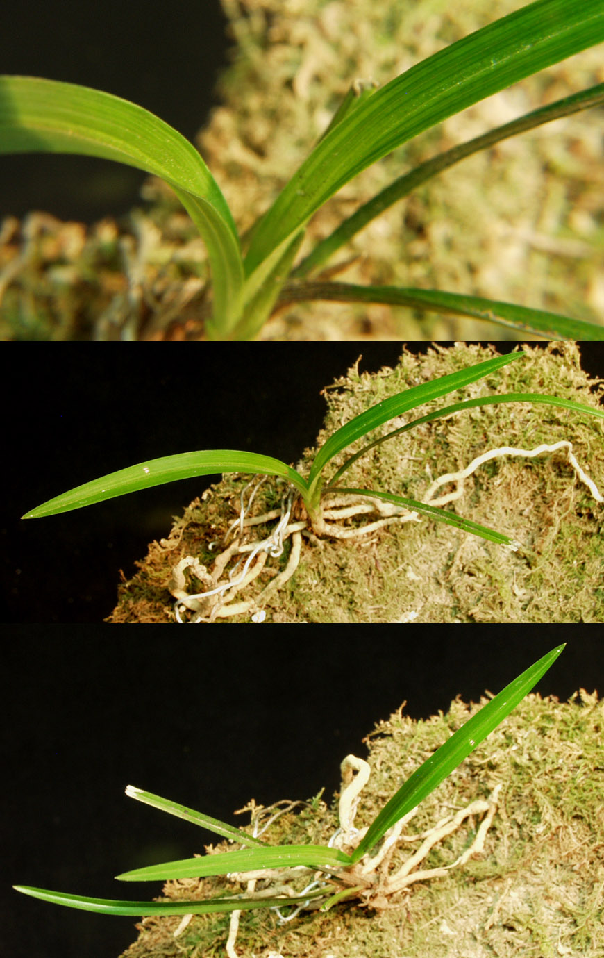 ������ ū������ �� �� �ֽ��ϴ�.