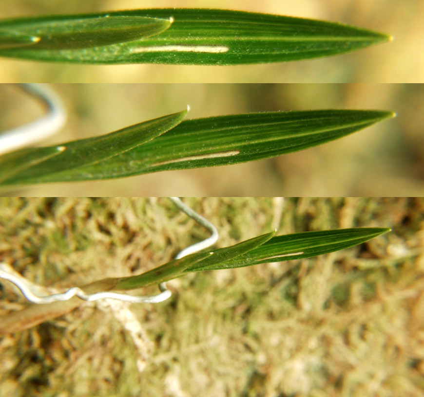 ������ ū������ �� �� �ֽ��ϴ�.