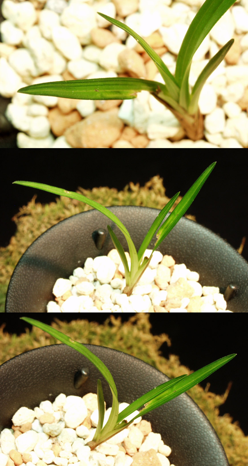 ������ ū������ �� �� �ֽ��ϴ�.