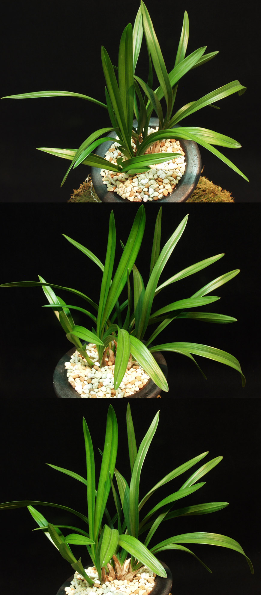 ������ ū������ �� �� �ֽ��ϴ�.