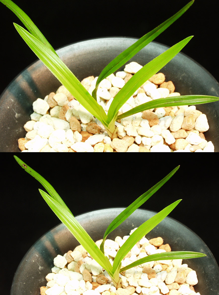 ������ ū������ �� �� �ֽ��ϴ�.