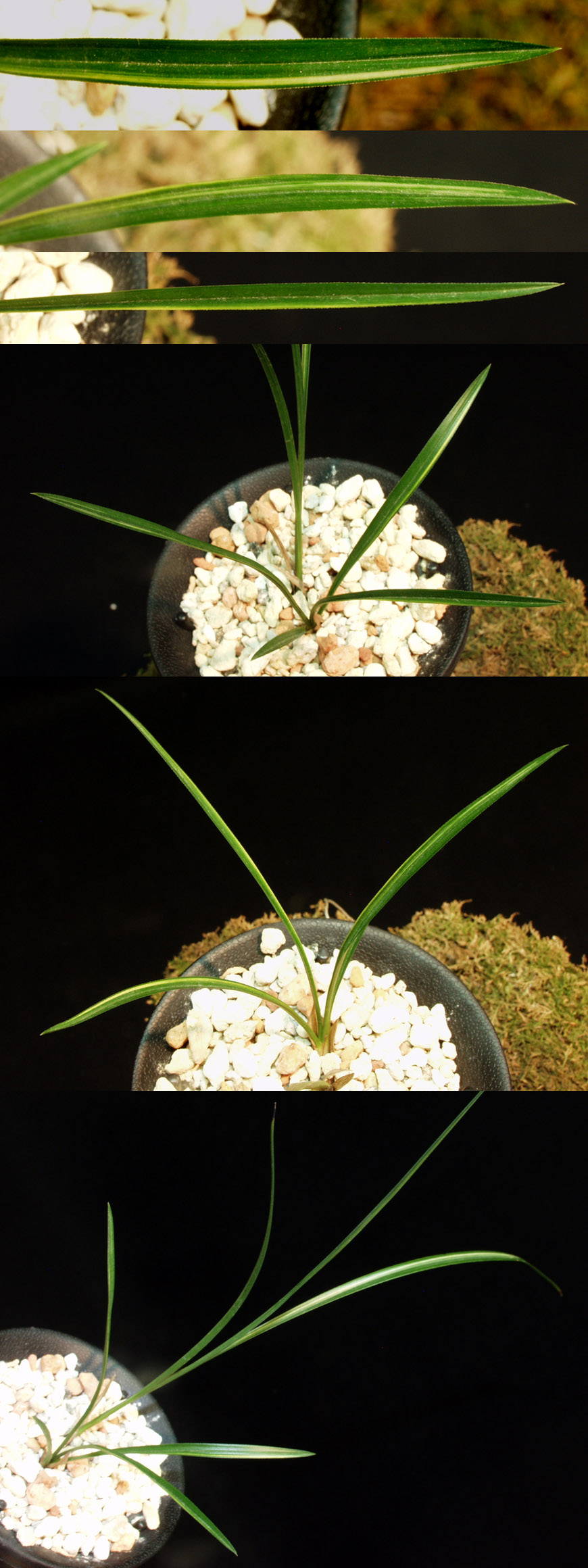 ������ ū������ �� �� �ֽ��ϴ�.