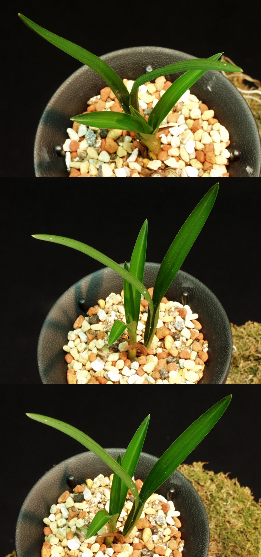 ������ ū������ �� �� �ֽ��ϴ�.