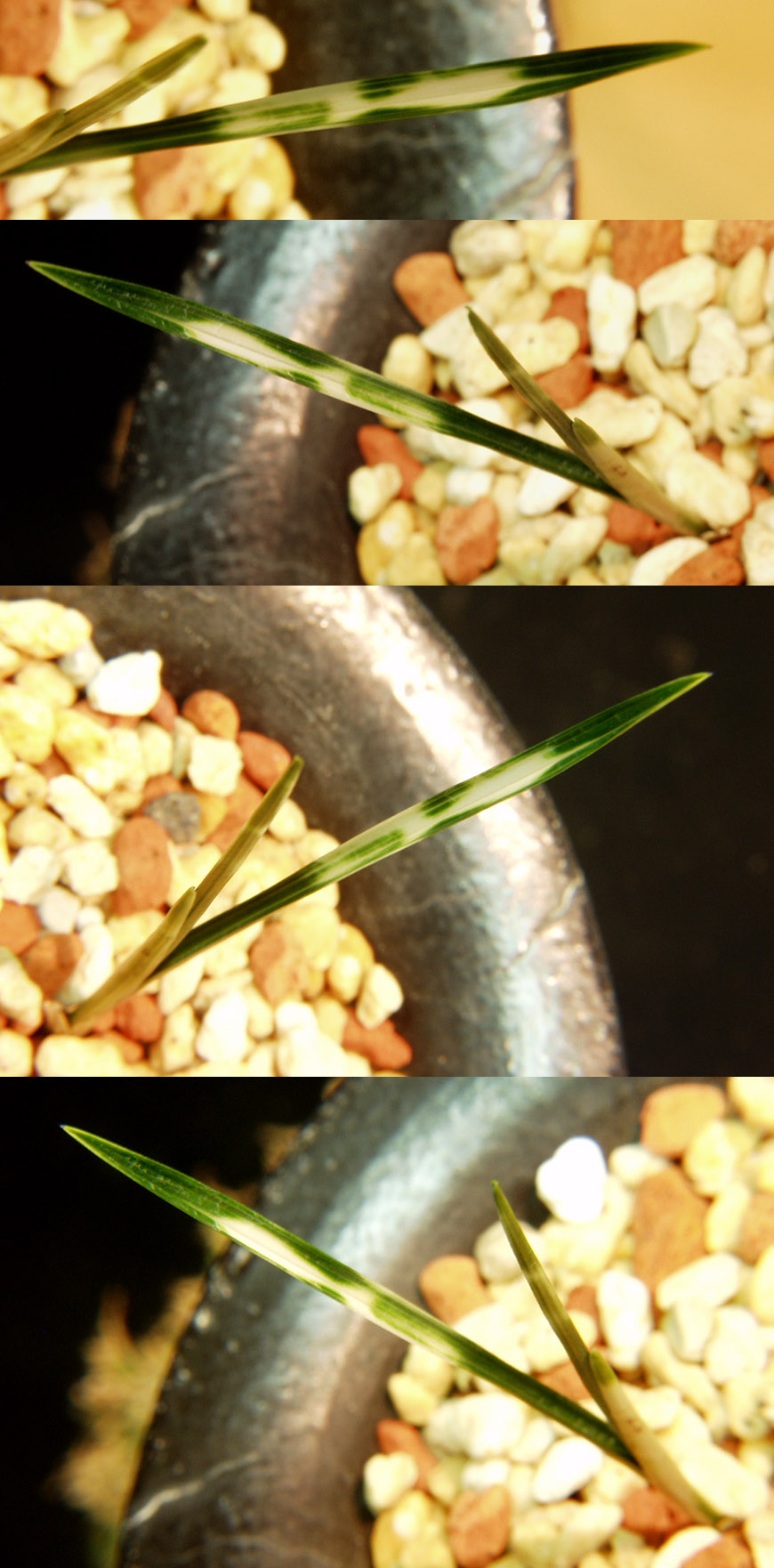 ������ ū������ �� �� �ֽ��ϴ�.