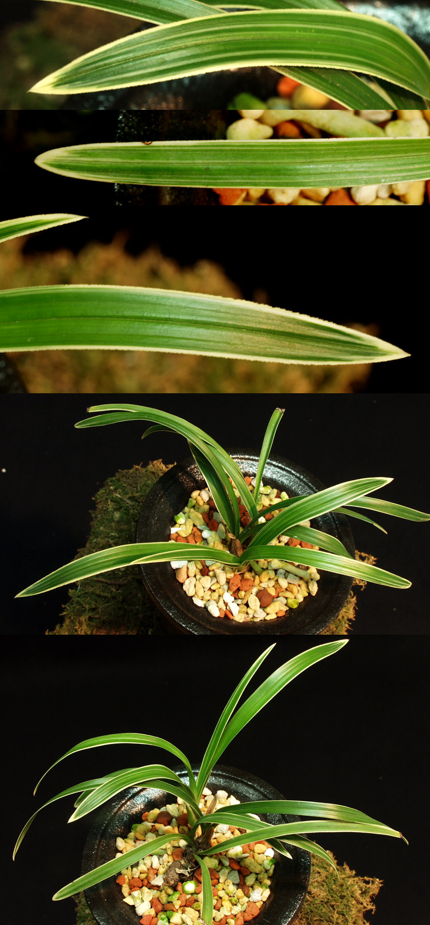 ������ ū������ �� �� �ֽ��ϴ�.