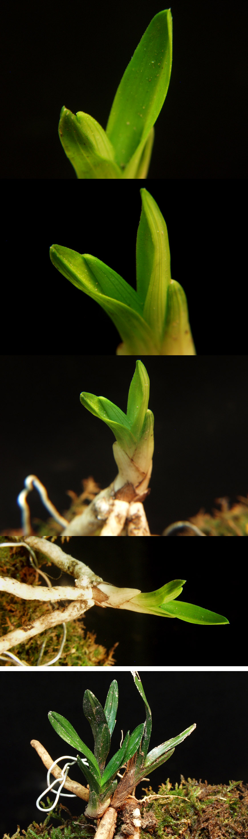 ������ ū������ �� �� �ֽ��ϴ�.