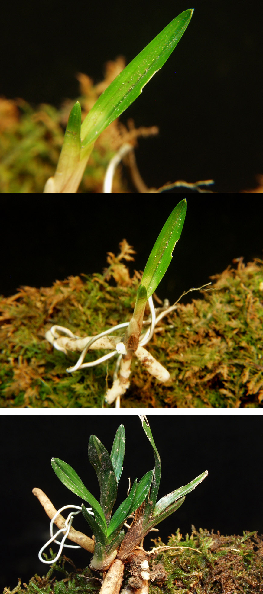 ������ ū������ �� �� �ֽ��ϴ�.