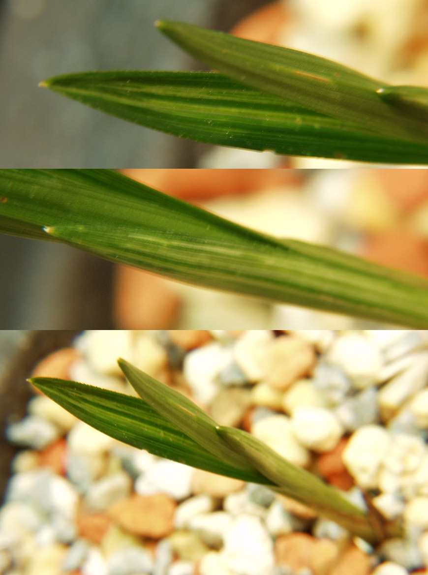 ������ ū������ �� �� �ֽ��ϴ�.