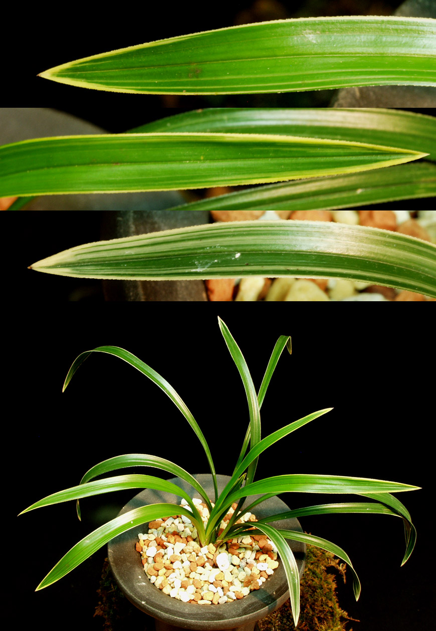 ������ ū������ �� �� �ֽ��ϴ�.