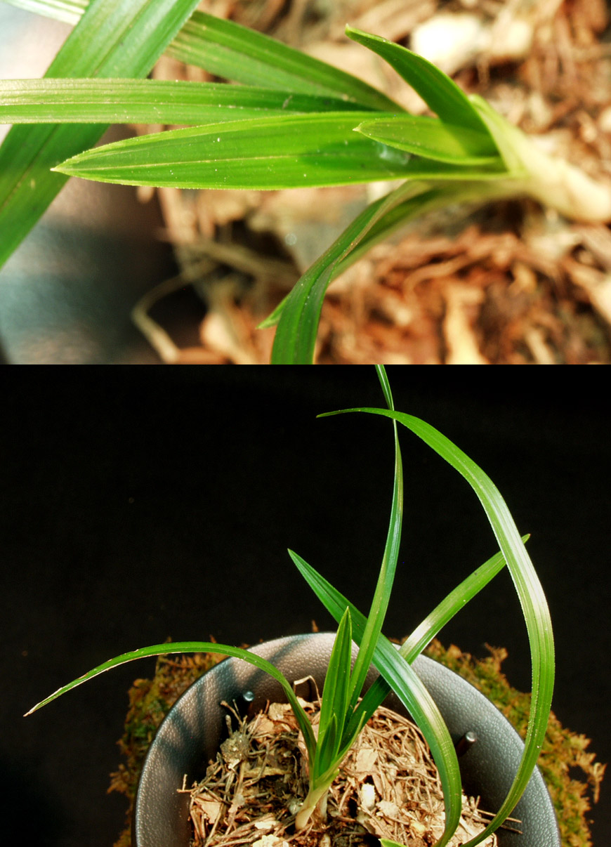 ������ ū������ �� �� �ֽ��ϴ�.