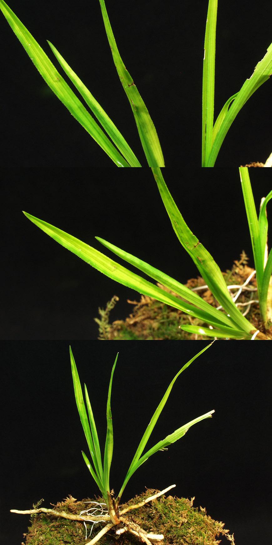 ������ ū������ �� �� �ֽ��ϴ�.