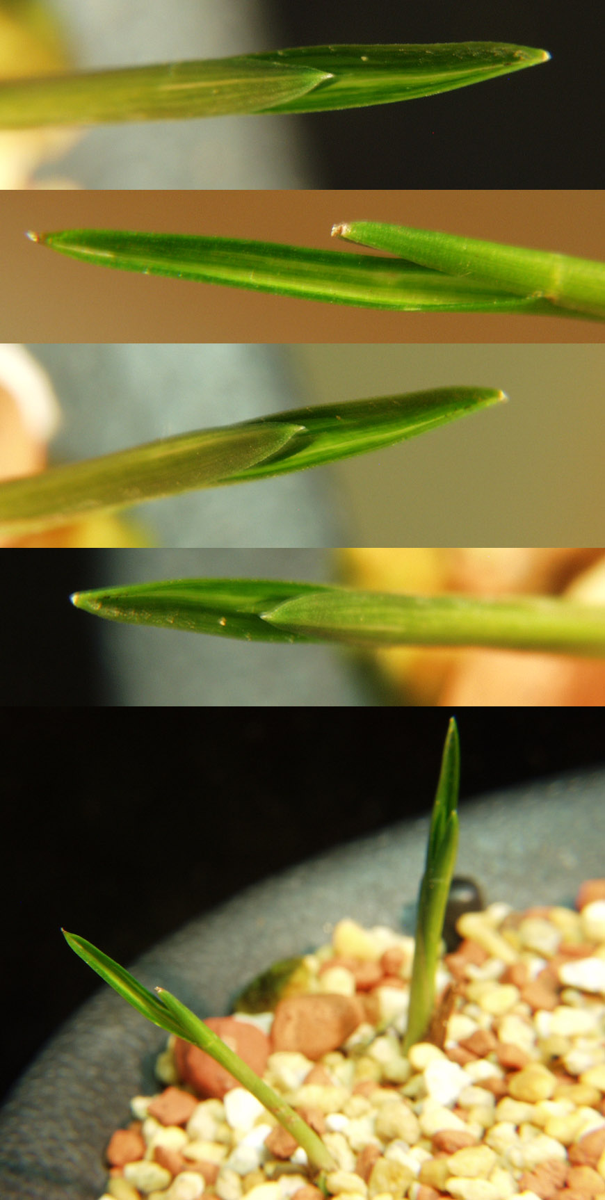 ������ ū������ �� �� �ֽ��ϴ�.