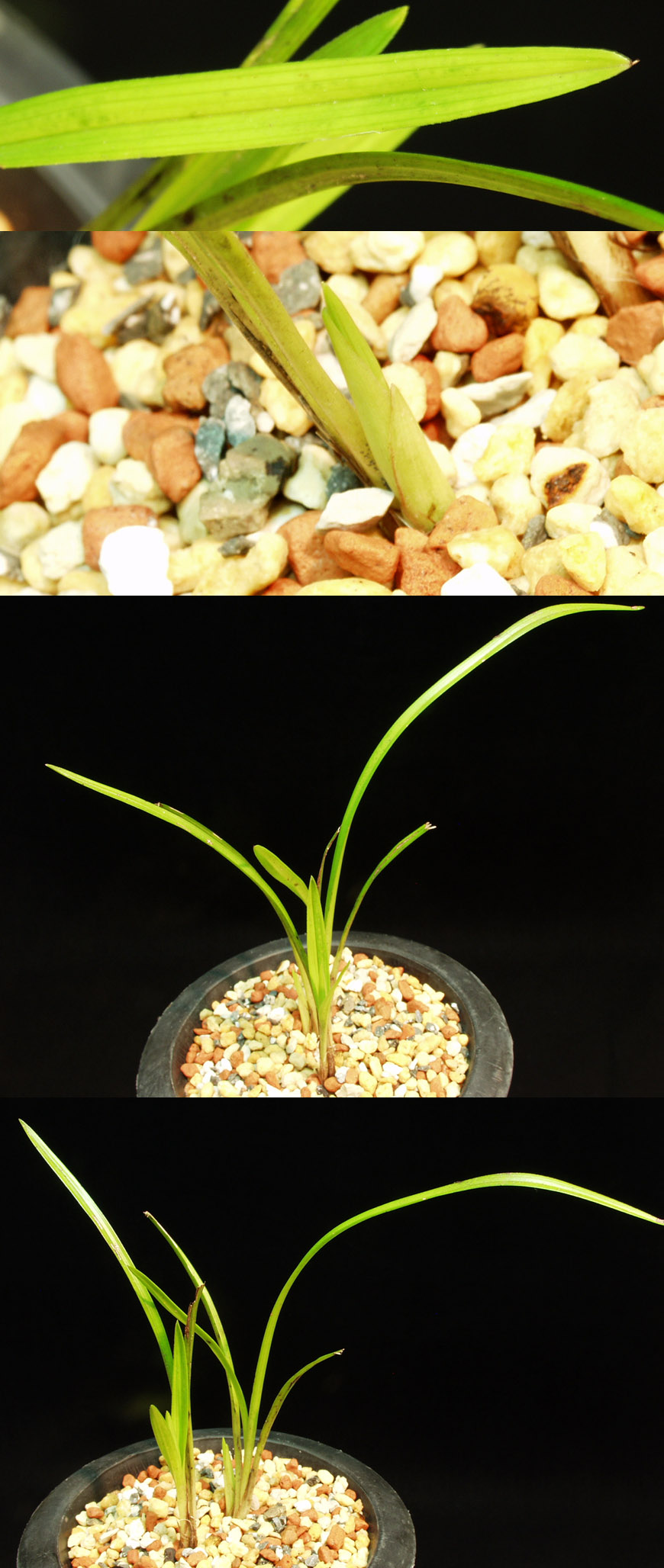 ������ ū������ �� �� �ֽ��ϴ�.