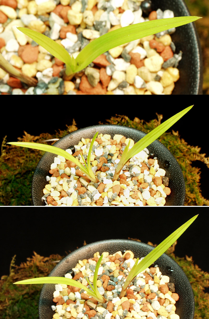 ������ ū������ �� �� �ֽ��ϴ�.