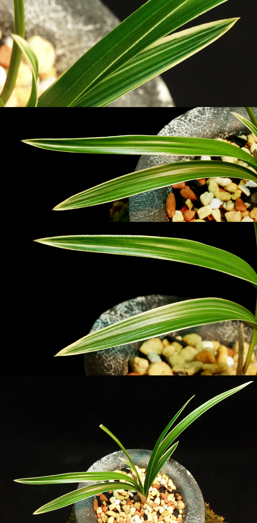 ������ ū������ �� �� �ֽ��ϴ�.