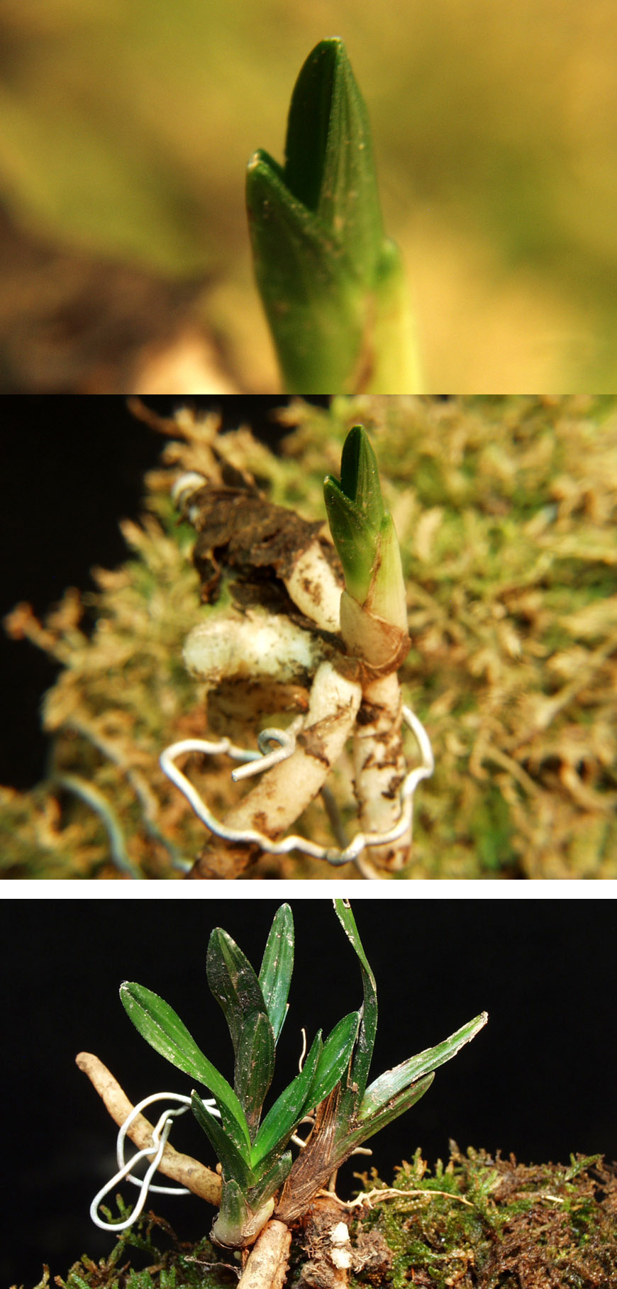 ������ ū������ �� �� �ֽ��ϴ�.