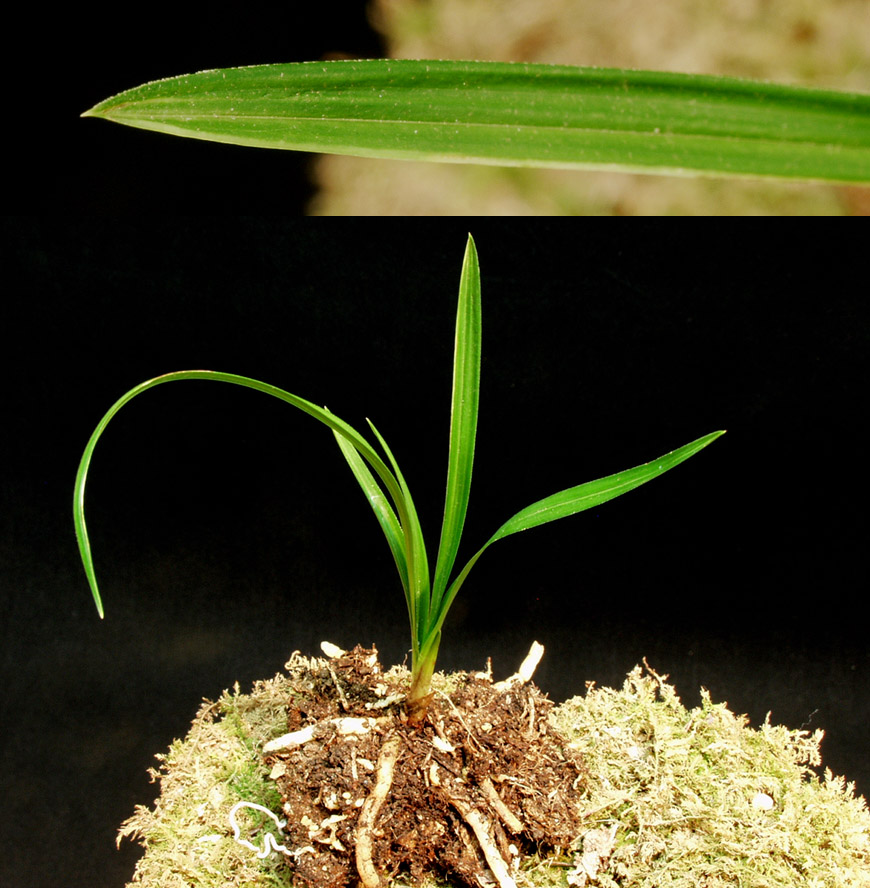 ������ ū������ �� �� �ֽ��ϴ�.