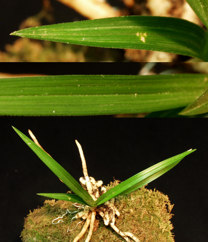 ������ ū������ �� �� �ֽ��ϴ�.