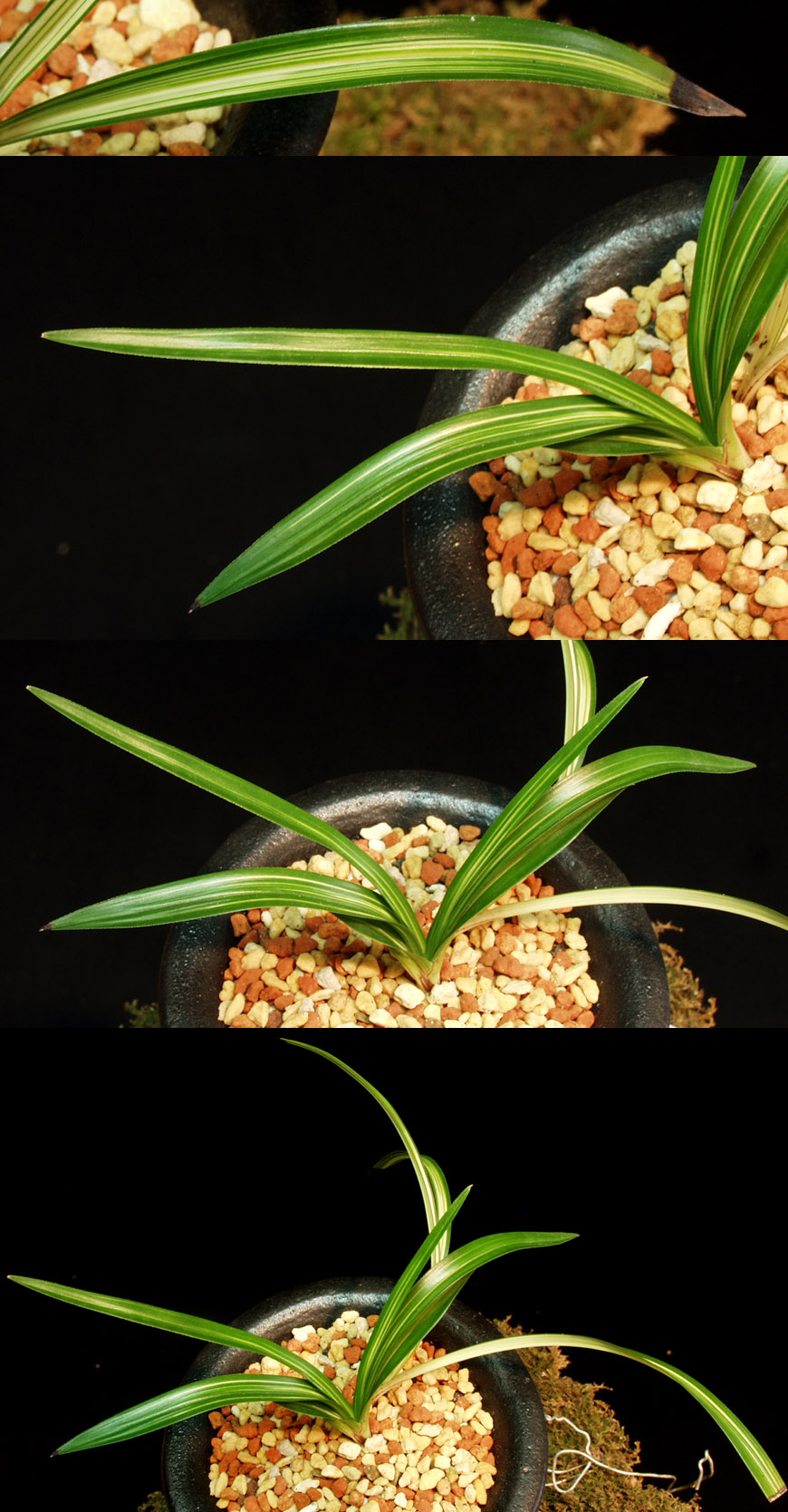 ������ ū������ �� �� �ֽ��ϴ�.