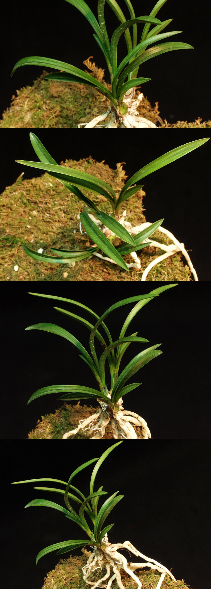 ������ ū������ �� �� �ֽ��ϴ�.