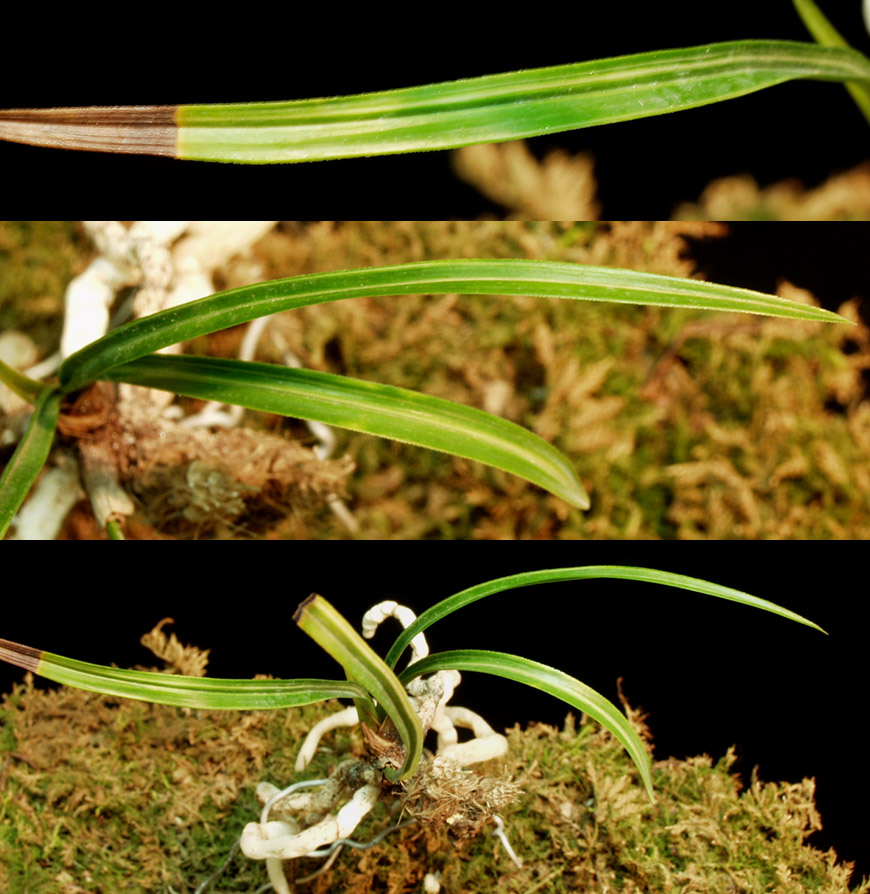 ������ ū������ �� �� �ֽ��ϴ�.